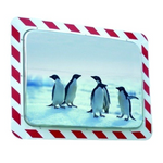 Lustro odporne na szron i parę