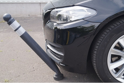 Słupek elastyczny demontowalny EMKA 03