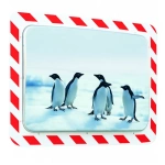 Lustro odporne na szron i parę