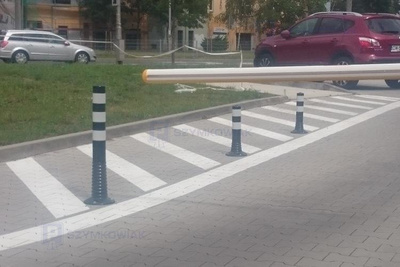 Słupek elastyczny CZ-B