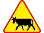 Znak A-18a - zwierzęta gospodarskie