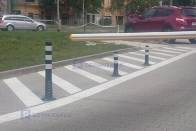 Słupek elastyczny CZ-B